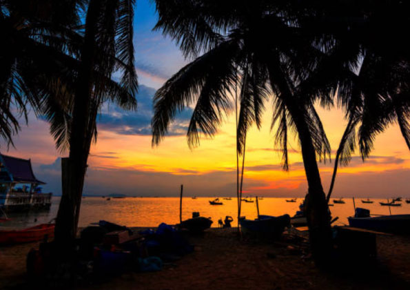 Goa Night at Thyme and Chillies